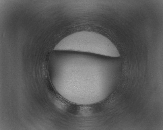 X0000052960222200507080904