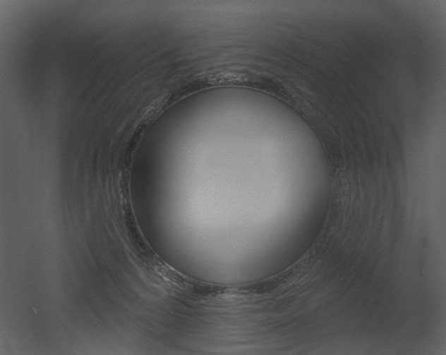 X0000052960224200507080904