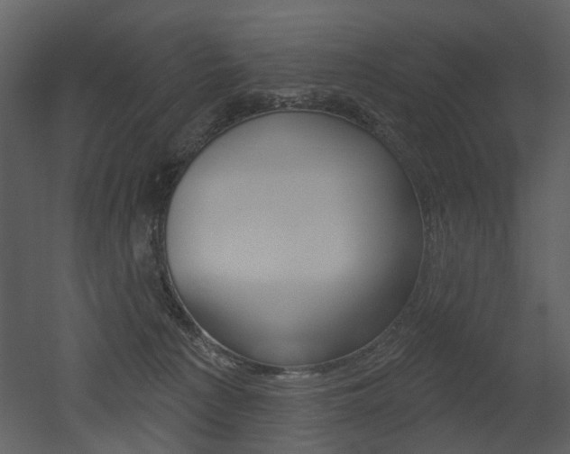 X0000052960225200507080904