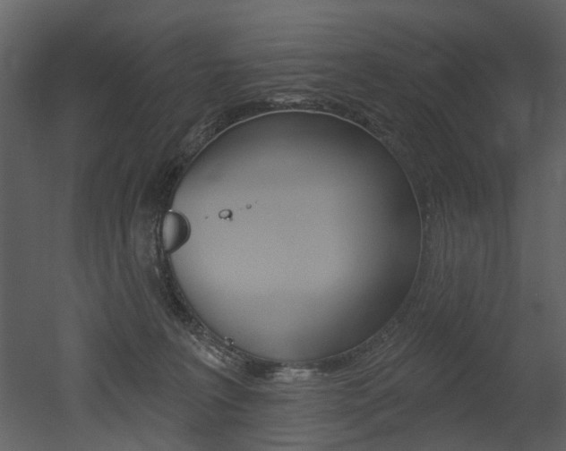 X0000052960227200507080904