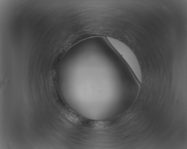 X0000052960229200507080904