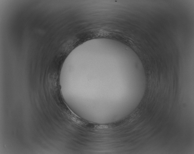 X0000052960230200507080904