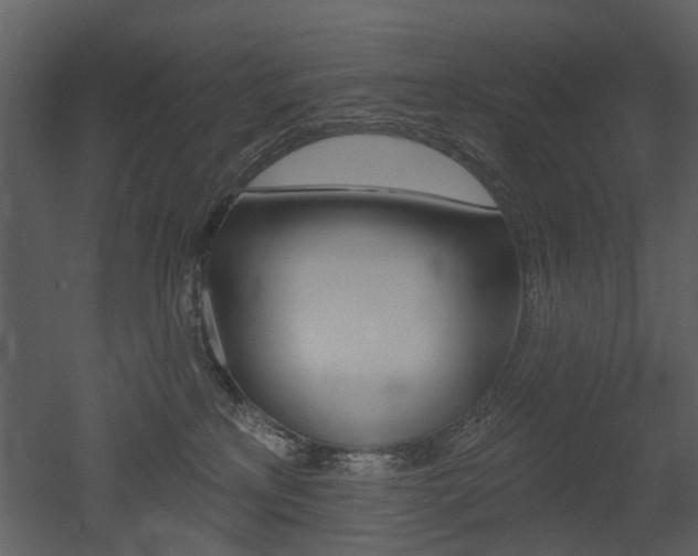 X0000052960233200507080904