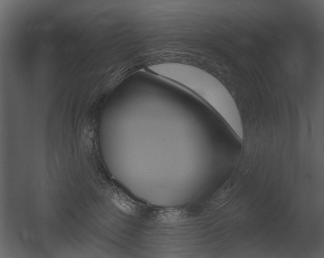 X0000052960235200507080904