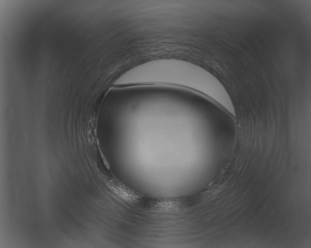 X0000052960237200507080904