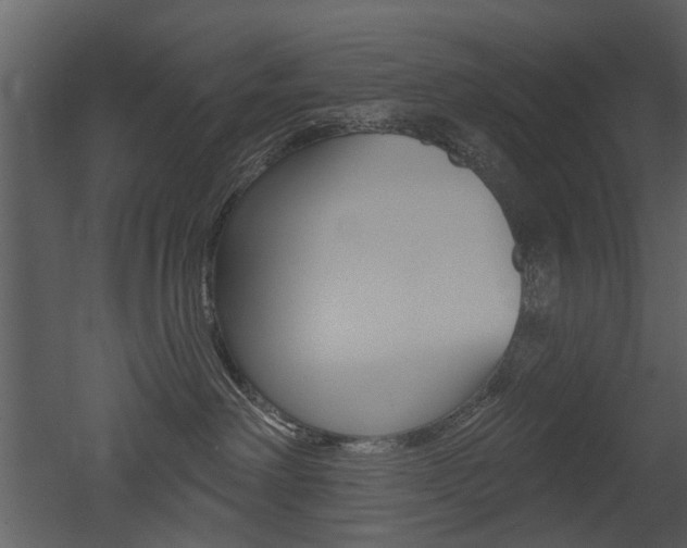 X0000052960238200507080904