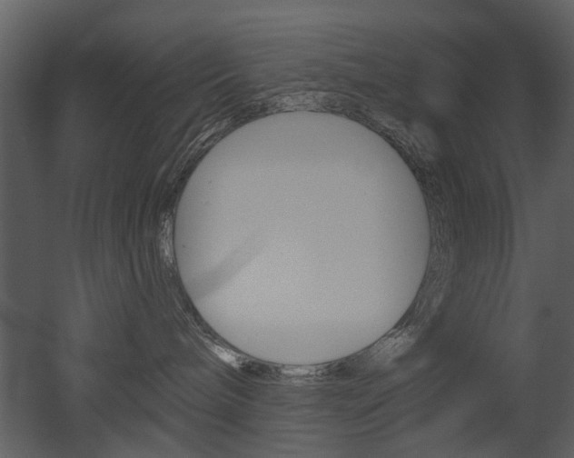 X0000052960240200507080904