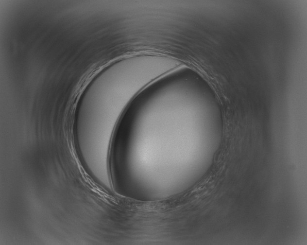 X0000052960241200507080903