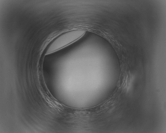 X0000052960242200507080903