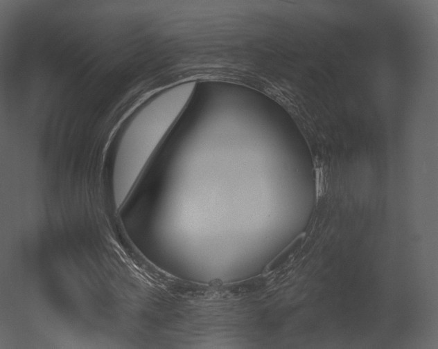 X0000052960243200507080903
