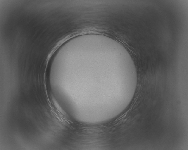 X0000052960244200507080903