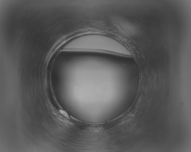 X0000052960247200507080903