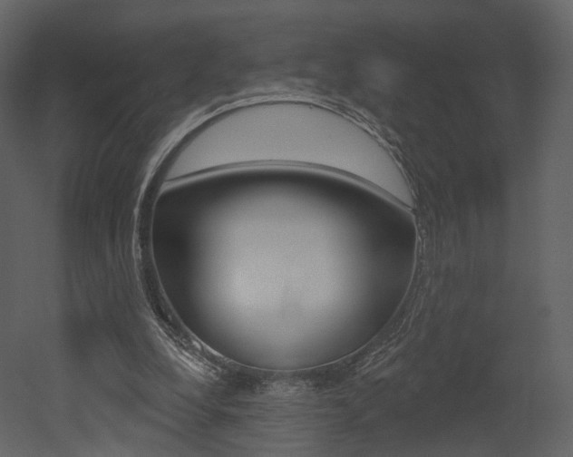 X0000052960248200507080903