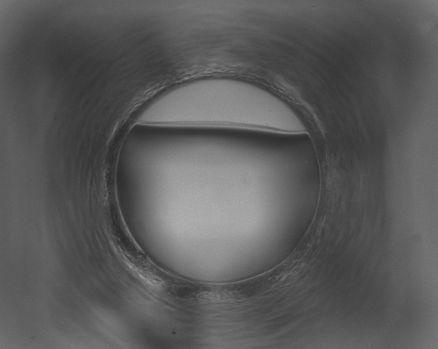 X0000052960250200507080903
