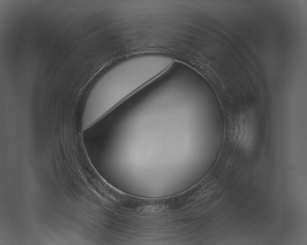 X0000052960251200507080903