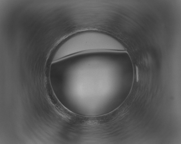 X0000052960252200507080903