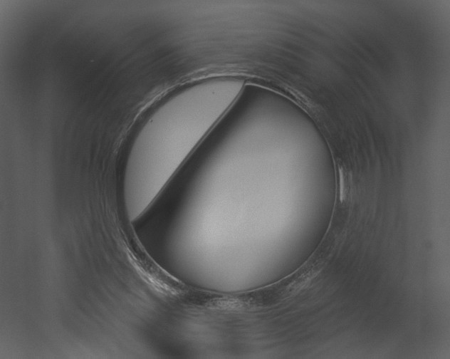 X0000052960253200507080903