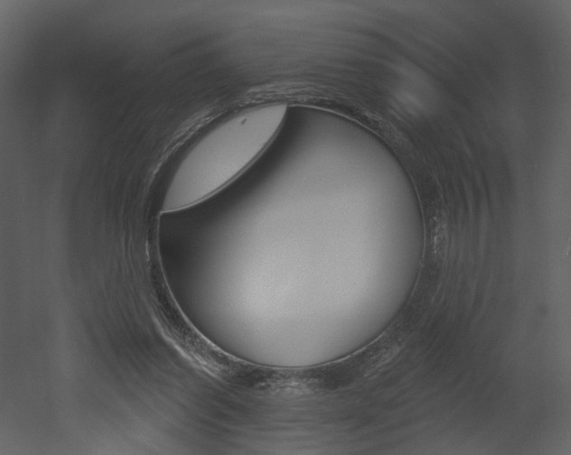 X0000052960254200507080903