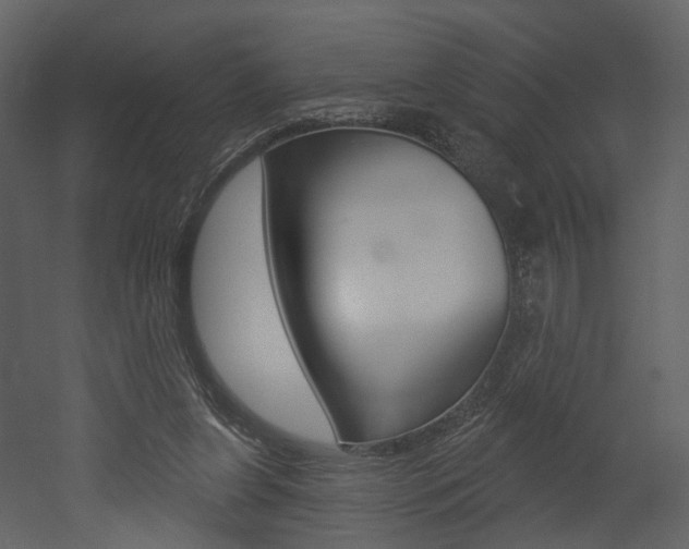 X0000052960255200507080903