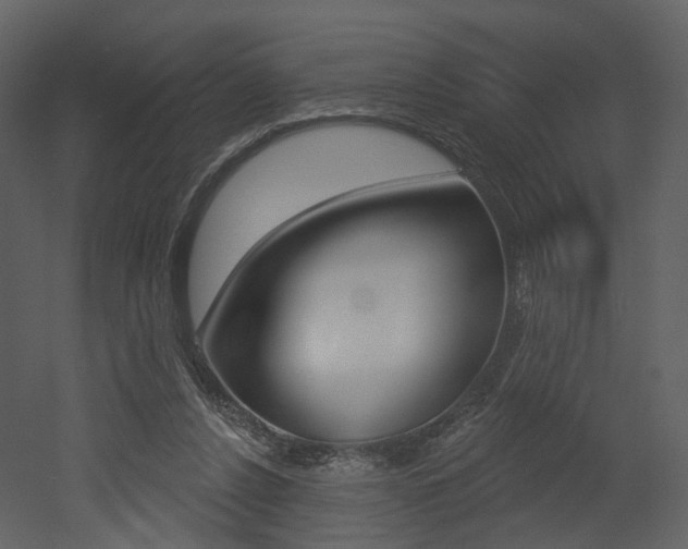 X0000052960256200507080903