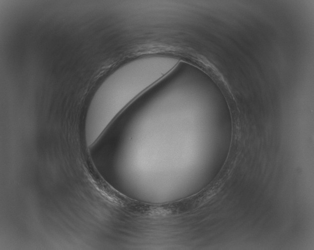 X0000052960257200507080903