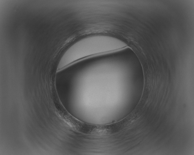 X0000052960260200507080903