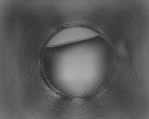 X0000052960261200507080903