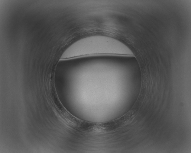 X0000052960263200507080903