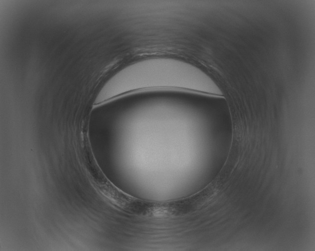 X0000052960264200507080903