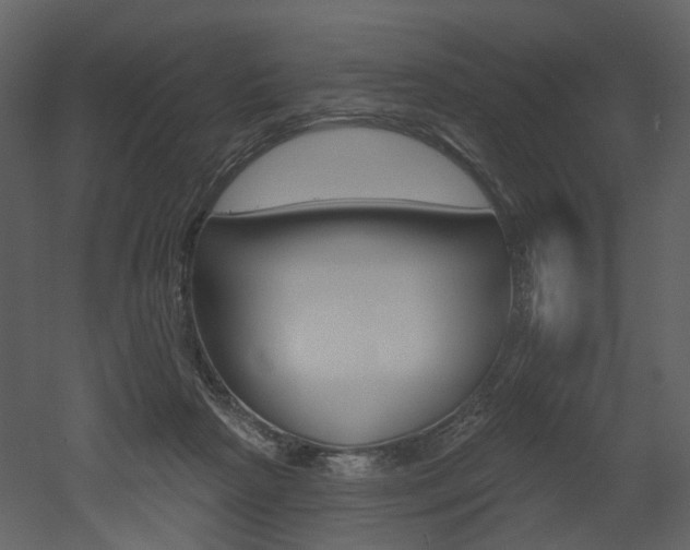 X0000052960265200507080903