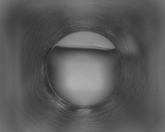 X0000052960266200507080903