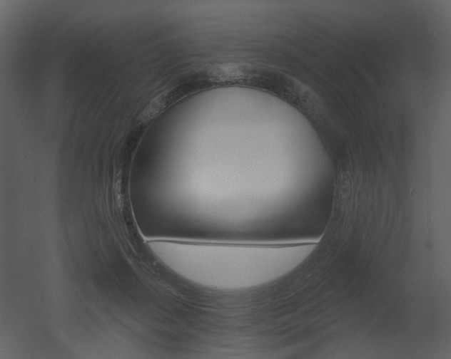 X0000052960267200507080903