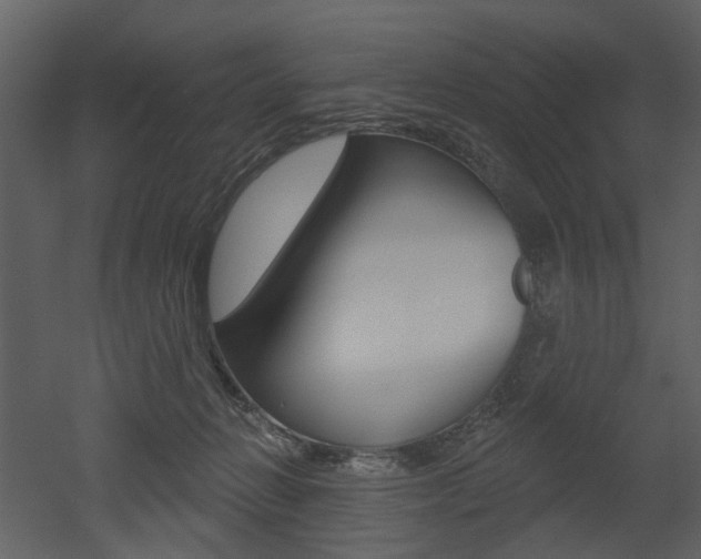 X0000052960270200507080903