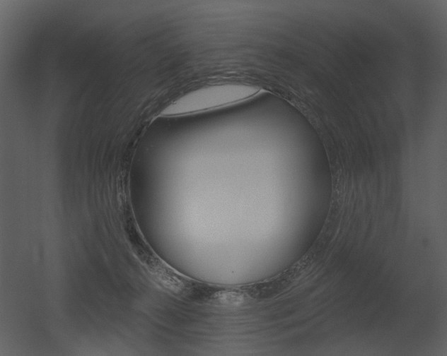 X0000052960272200507080904