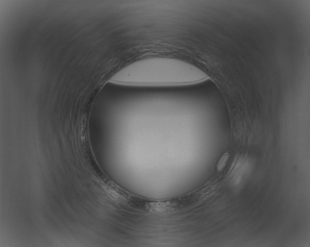 X0000052960273200507080904