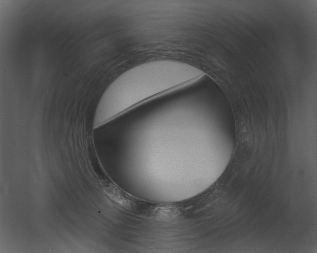 X0000052960275200507080904