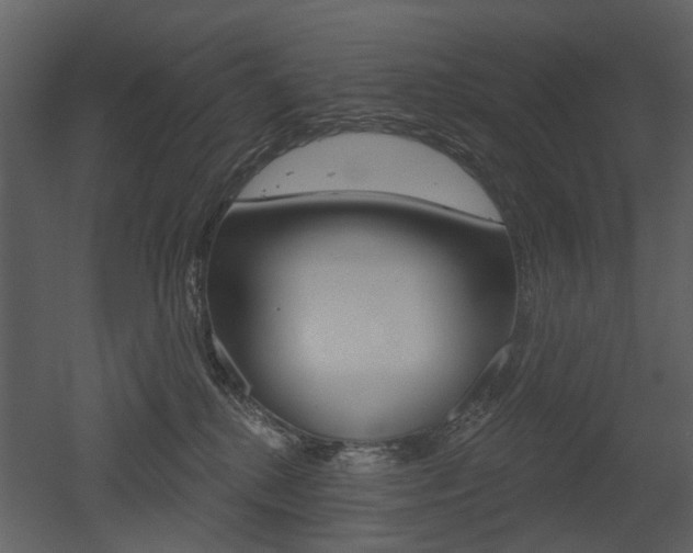 X0000052960280200507080904