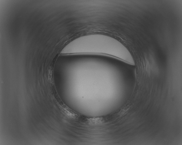 X0000052960281200507080904