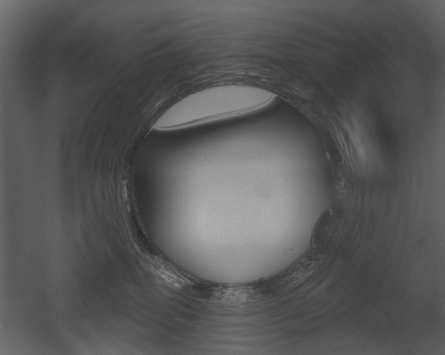 X0000052960282200507080904