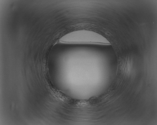 X0000052960283200507080904