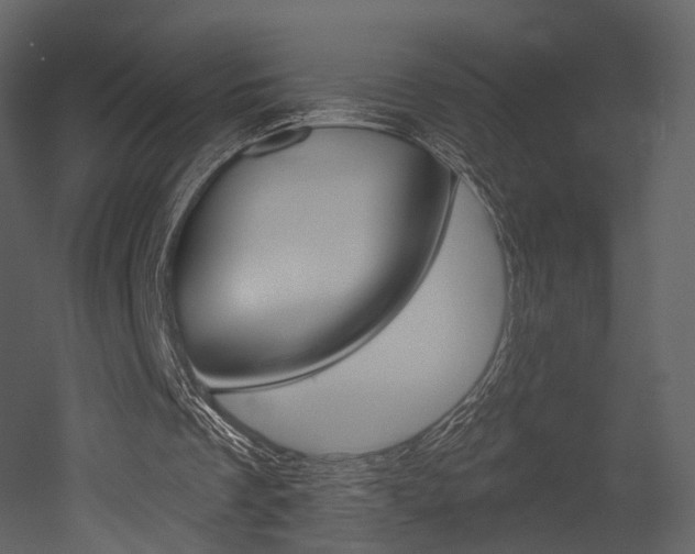 X0000052960289200507080903