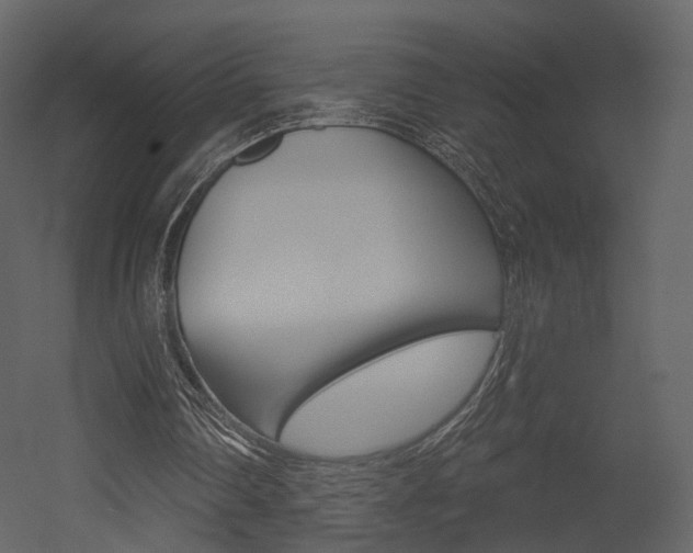 X0000052960290200507080903