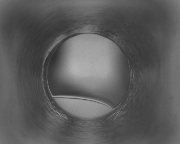 X0000052960292200507080903