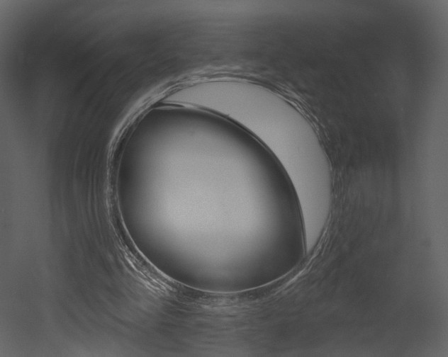 X0000052960293200507080903