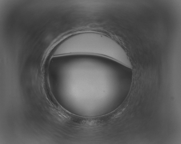 X0000052960295200507080903