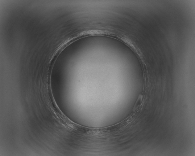X0000052960297200507080903