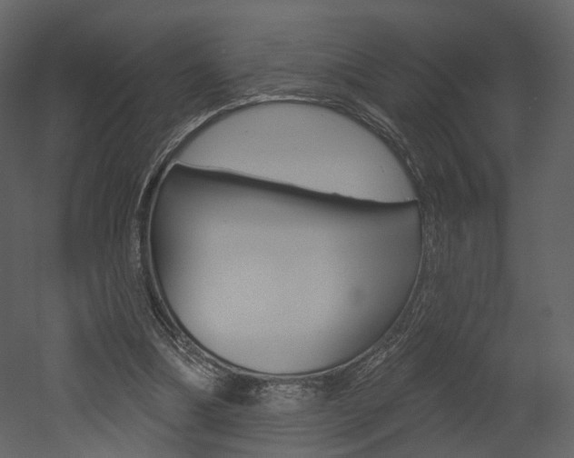 X0000052960298200507080903