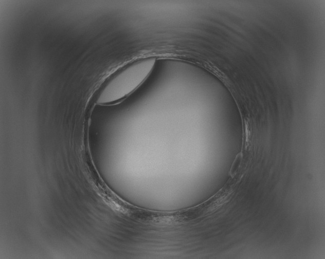 X0000052960301200507080903