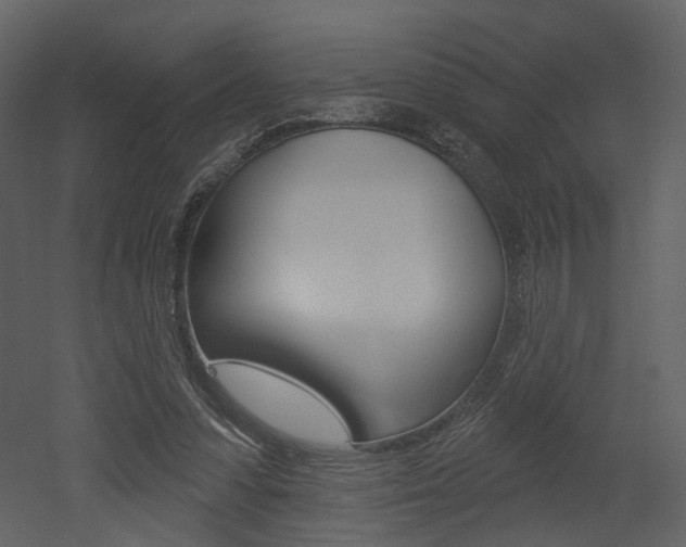 X0000052960303200507080903