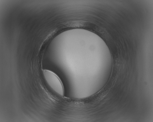 X0000052960304200507080903